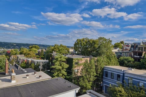View from Rooftop Deck 