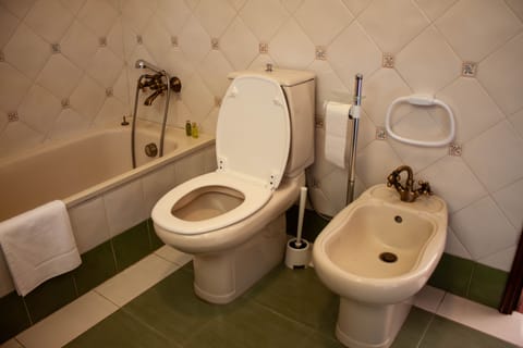 Combined shower/tub, bidet, towels, toilet paper