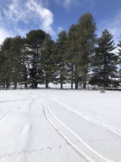 Snow and ski sports