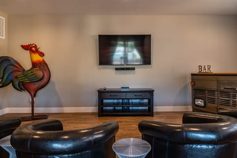 Second Living Room Downstairs with Flat Screen TV and Rear Patio