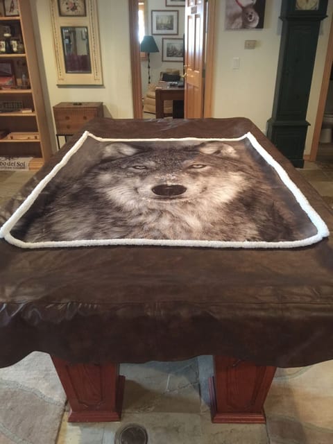 Professional size pool table with equipment 