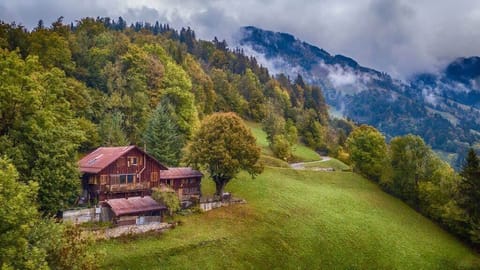the beautiful chalet from above 