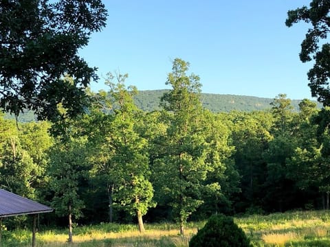View from rear of house to Magazine Mountain.