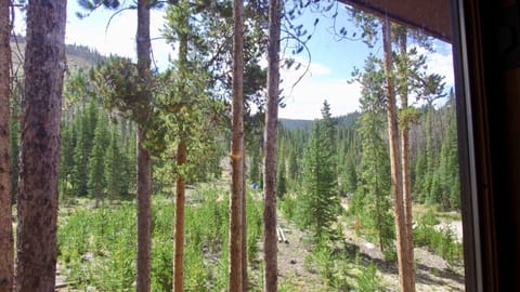 View of National Forest from Living Room!