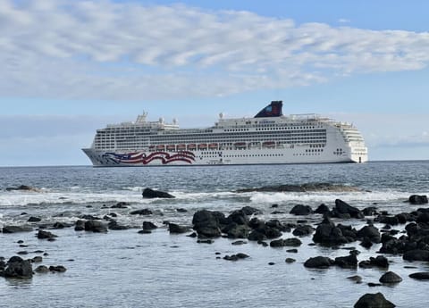 Cruise ships are coming back