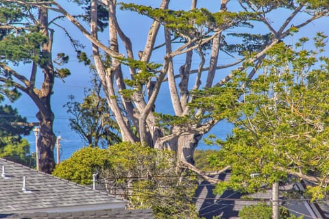 Peeks of Monterey Bay