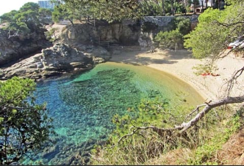 Beach nearby, sun loungers