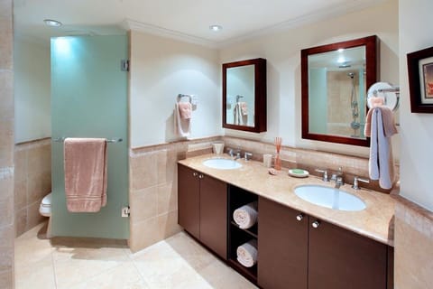 Combined shower/tub, hair dryer, towels