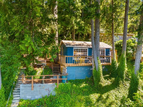 Cabin has treehouse feel, sitting on high bank with lush trees.
