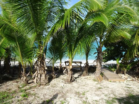 Sun loungers, beach towels