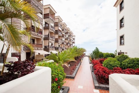 Apartment Silvia A place to relax Apartment in Costa del Silencio