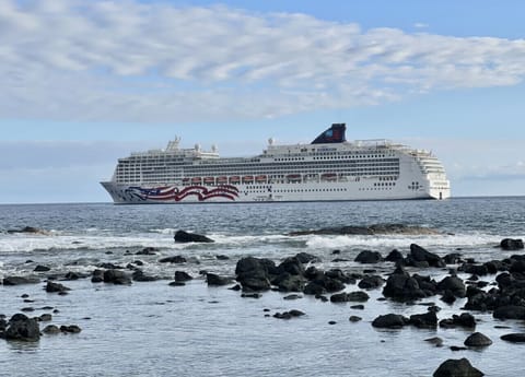 Cruise ships are coming back.