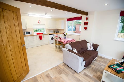 open plan living room and kitchen in the Annex