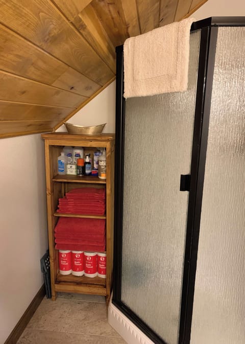 Upstairs guest shower