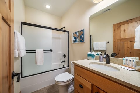 Combined shower/tub, free toiletries, hair dryer, towels