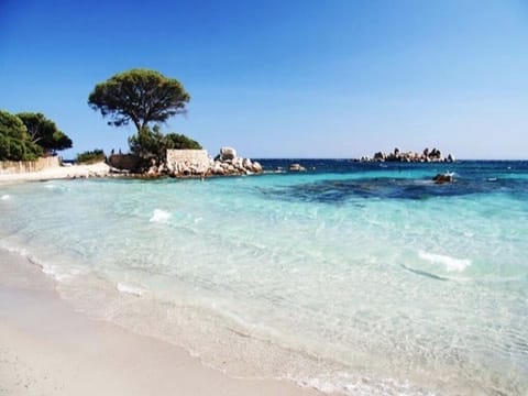 On the beach, sun loungers, beach towels