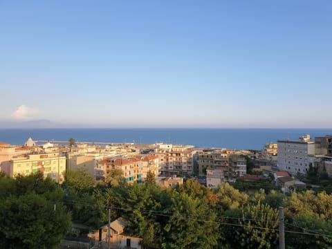 Beach/ocean view