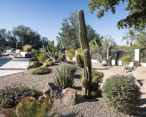 Professionally landscaped with an artful eye.