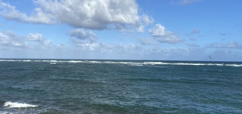 On the beach, sun loungers, beach towels