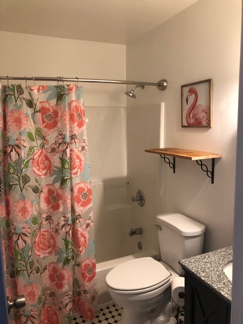 Combined shower/tub, hair dryer, towels, shampoo