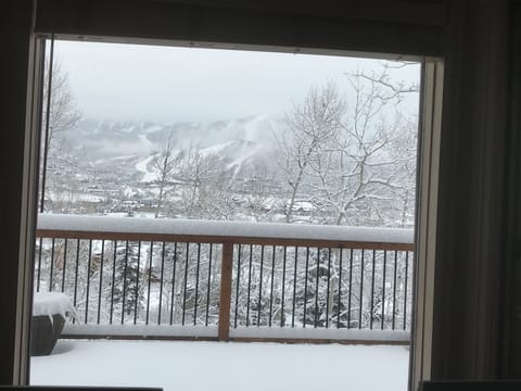 Check out the conditions before you head out!