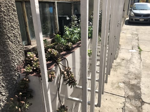 Park safely right outside the apartment on private passage