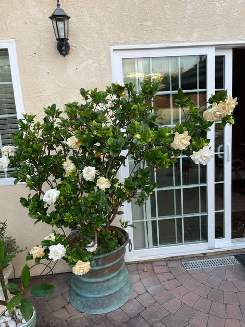 Beautifully landscaped with tropical gardenias,& More