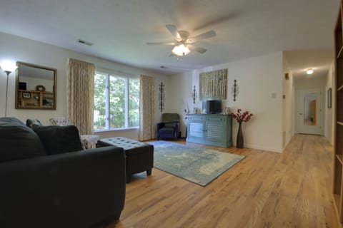 Smart TV, fireplace, books