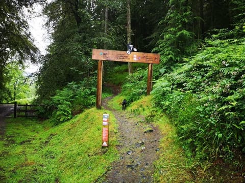 Bike trail in Gwydir Forest