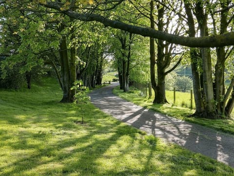 Picturesque driveway to the house with village 5 minutes walk.