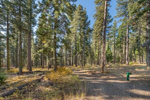 Walking trail- Located at parking area of house!