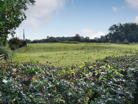 View | Blaithwaite Cottage - Blaithwaite Estate, Waverton, near Wigton