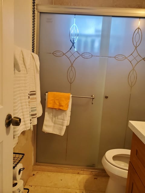 Shower, hair dryer, towels