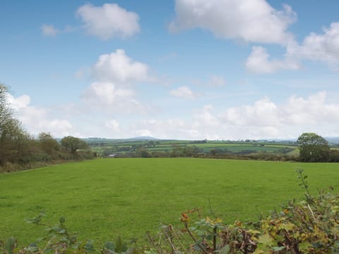 View | Bluebell Cottage - Penfeidr Cottages, Glanrhyd, near Newport