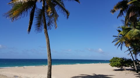 On the beach, sun loungers