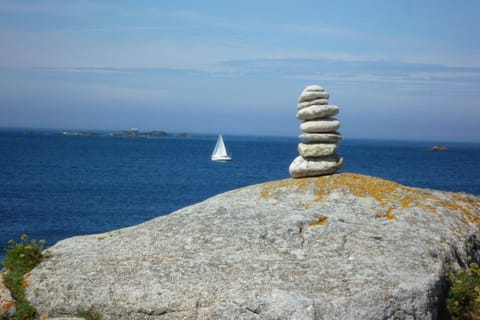 Region [summer] (&gt;5 km)