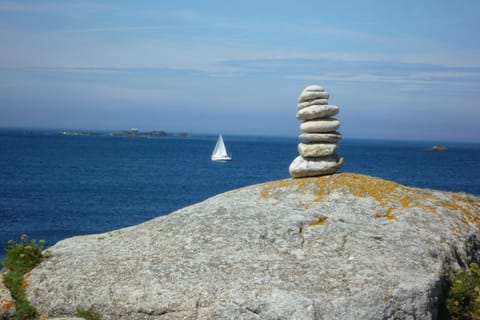 Region [summer] (&gt;5 km)