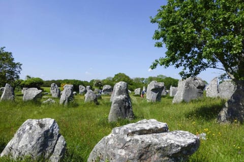 Immediate Surroundings [summer] (&lt;1 km)