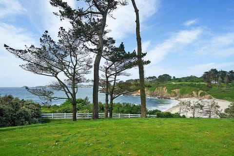 Immediate Surroundings [summer] (&lt;1 km)