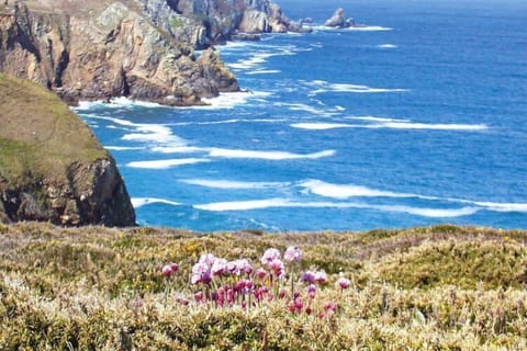 Region [summer] (&gt;5 km)