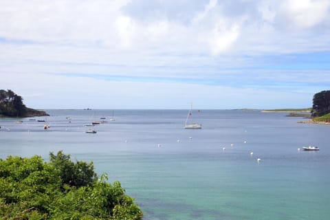 Immediate Surroundings [summer] (&lt;1 km)