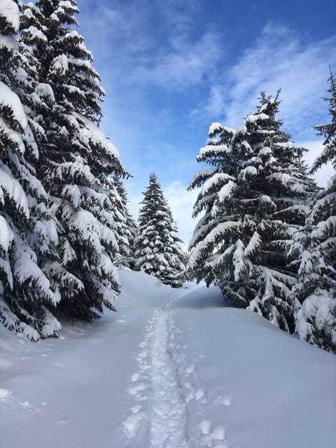 Snow and ski sports