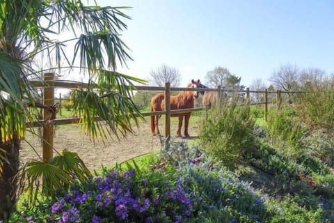 View from Holiday Home [summer]