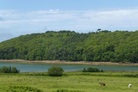 Surroundings [summer] (1-5 km)