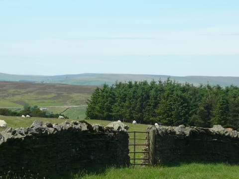 The view above Frosterley, looking north west