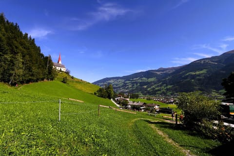 View from Holiday Home [summer]