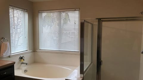 Combined shower/tub, hair dryer, towels