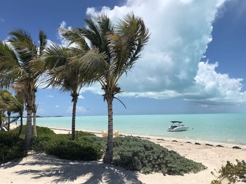 On the beach, sun loungers, beach towels