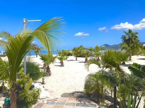 On the beach, sun loungers, beach towels