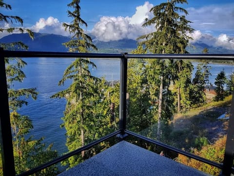 Keep an eye out for local wildlife